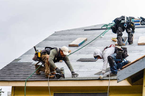 Professional Gutter Installation technician working in Holland Patent, NY